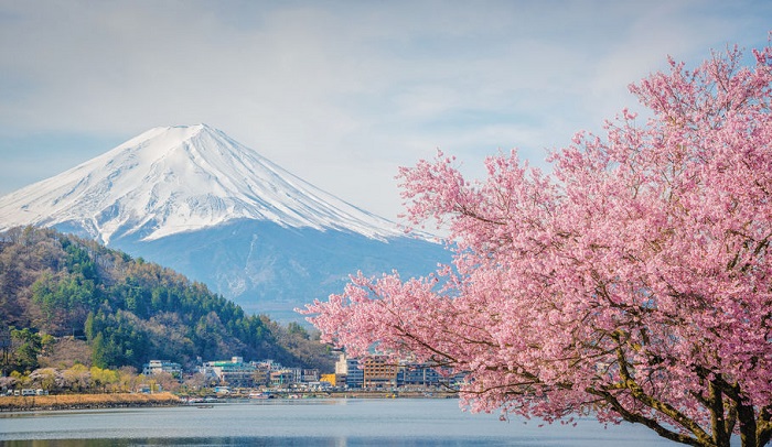 詳細介紹日本公司報稅流程是怎樣的？